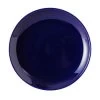 Tuxton BCA-0904 TuxCare Healthcare Cobalt Plate 9" - 1 Doz 2 Tuxton BCA-0904 TuxCare Healthcare Cobalt Plate 9" - 1 Doz -Kitchen - Tableware Tuxton BCA 0904 TuxCare Healthcare Cobalt Plate 9 1 doz 314592 medium